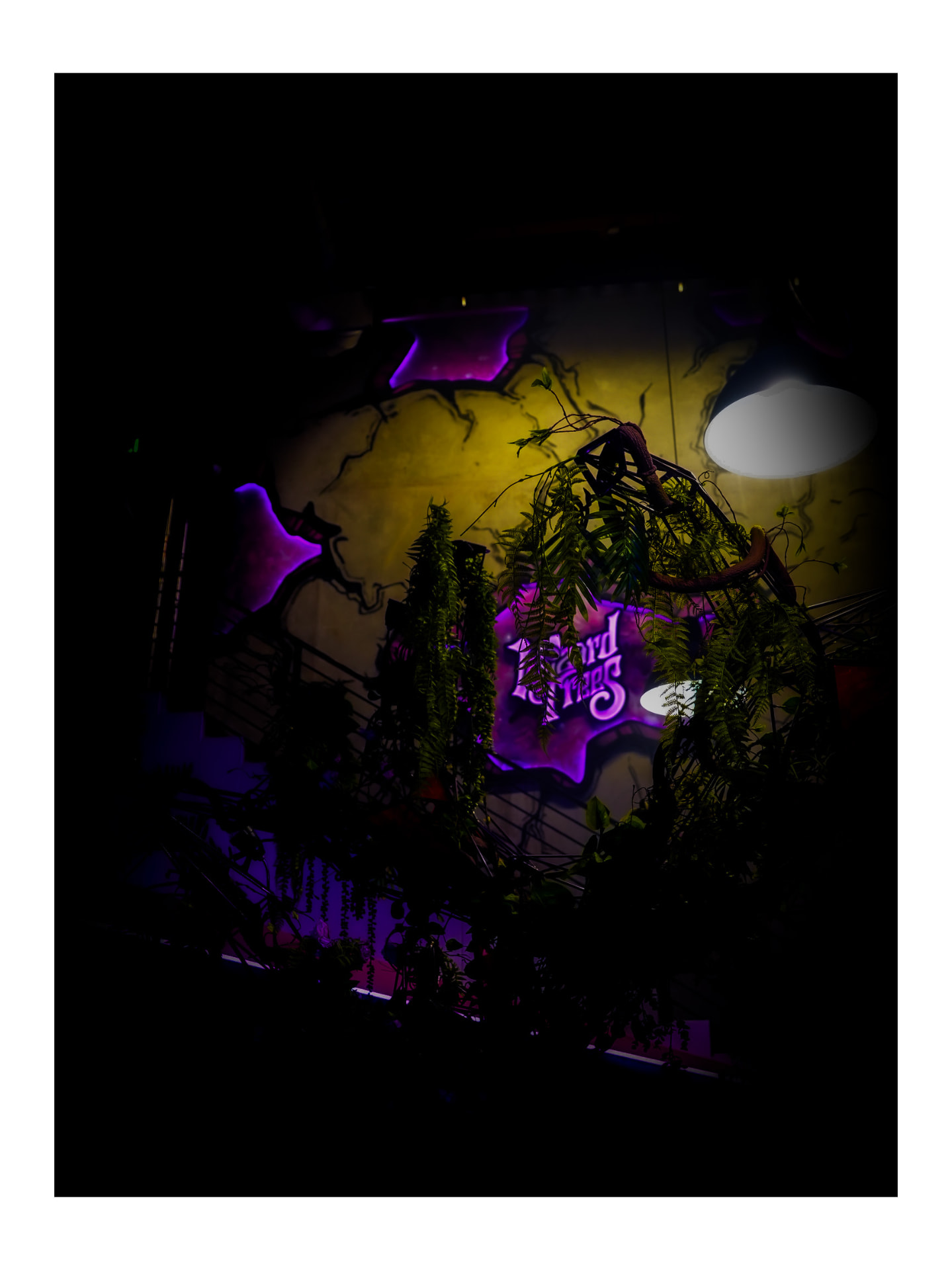 Neon Garden